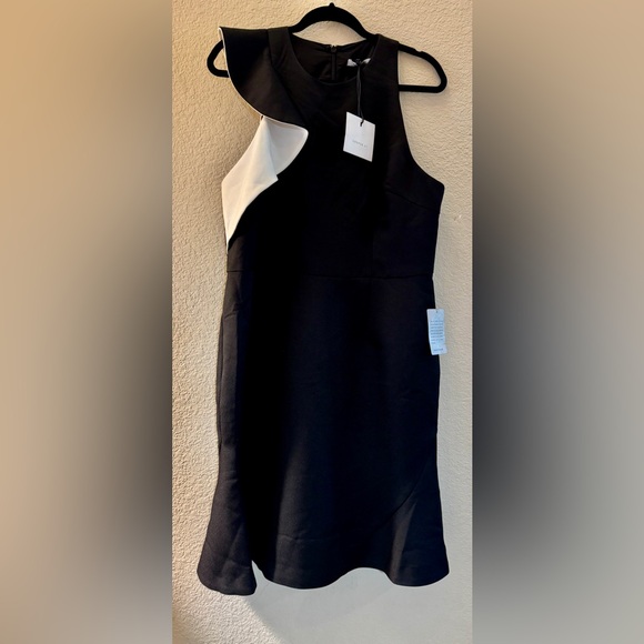 Elegant Black and White High Low Dress - Picture 5 of 8